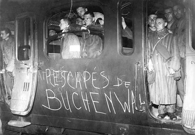 analyse de l'impact d'amon goeth sur la seconde guerre mondiale, explorant son rôle en tant que commandant de camp et les conséquences de ses actions pendant la guerre.